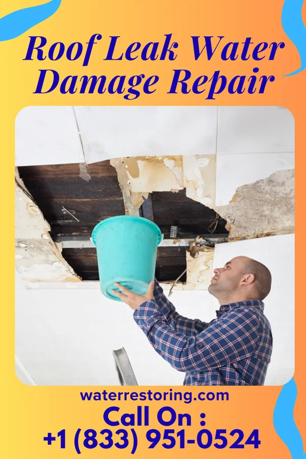 Roof Leak Water Damage Repair in Poseyville, IN