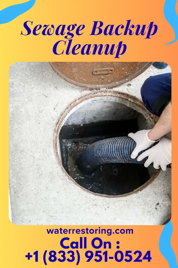 Sewage Backup Cleanup in Poseyville, IN